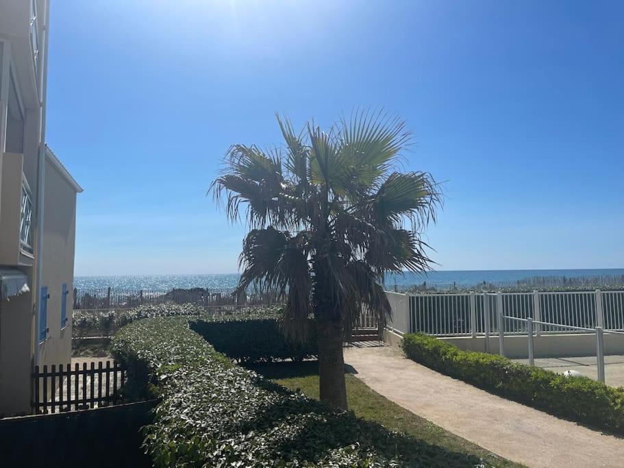 Appart Frontignan Sur La Plage, Piscine, Wifi, Tv, Netflix Extérieur photo